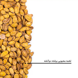 تخمه محبوبی برشته دوآتشه بارجیل