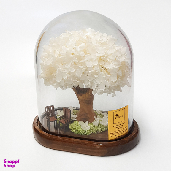 باکس درختچه گل هورتانسیا جاودان مدل آدونیس رز رنگ سفید