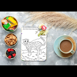 دفتر رنگ آمیزی مستر راد طرح رنگی کد 1669