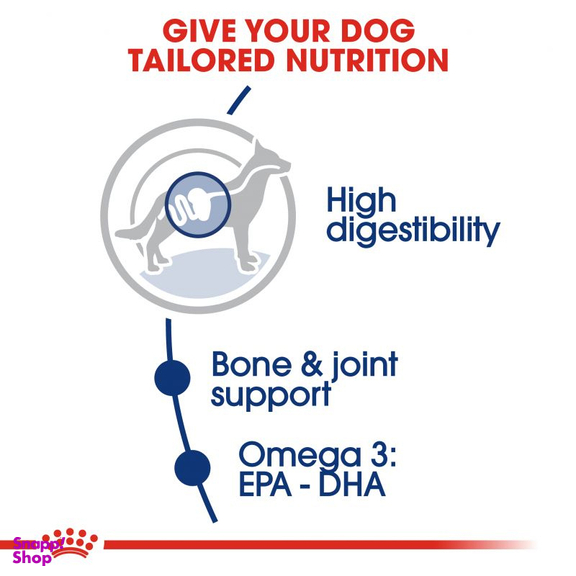 غذای سگ رویال کنین مدل Maxi Adult وزن 15 کیلوگرم