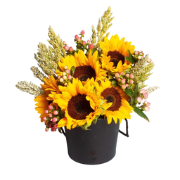 باکس گل نوا گل ستان