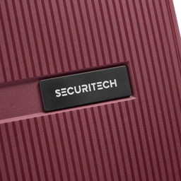 چمدان دلسی مدل Securitech Stone کد 4008801 سایز کابین ارتفاع 55 سانتی متر