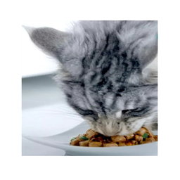 پوچ گربه پورینا مدل One کد 188 طعم مرغ وزن 75 گرم