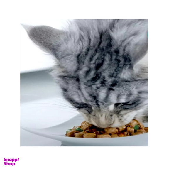 پوچ گربه پورینا مدل One کد 188 طعم مرغ وزن 75 گرم