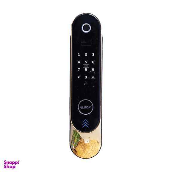 دستگیره دیجیتال هوشمند ای لاک مدل p60 plus