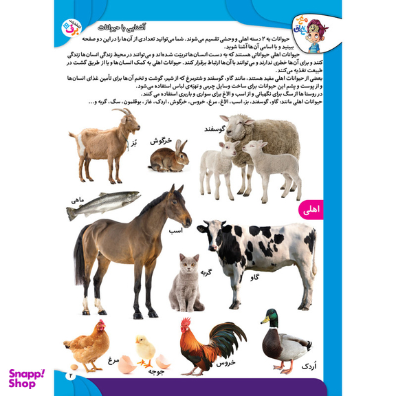 کتاب کار مغز خلاق مفاهیم ۱ میبینم، یاد میگیرم اثر فاطمه قدیانی و مهری عربیه انتشارات برف