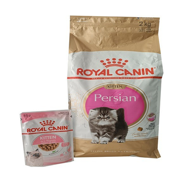 غذا خشک گربه رویال کنین مدل کیتن پرشین وزن ۲ کیلوگرم به همراه پوچ رویال کنین وزن 85 گرم