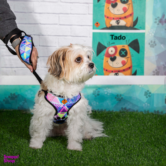 قلاده سگ تادو کد C107 سایز L