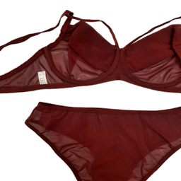 لباس زیر زنانه ست شورت و سوتین تیریتی مدل توری