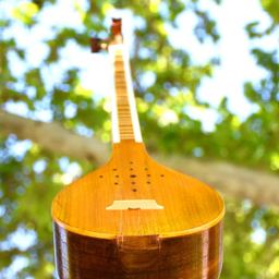 سه تار یران ساز مدل یک مهر