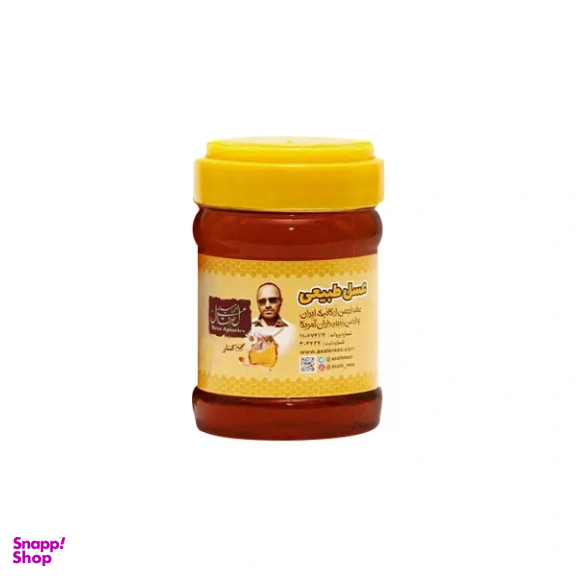 عسل کنار طبیعی سدر فارس رضا وزن 470 گرم