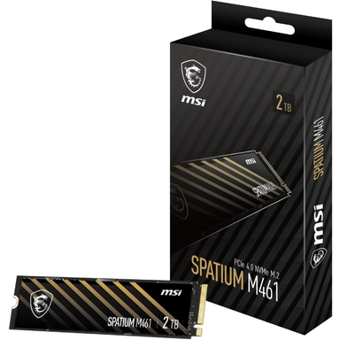 حافظه SSD ام اس آی مدل Spatium M461