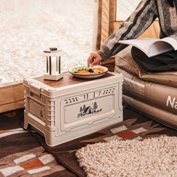 هارد باکس 50 ليتر نیچرهایک مدل Ling Yue 5 PP Folding Storage Box کد SN019