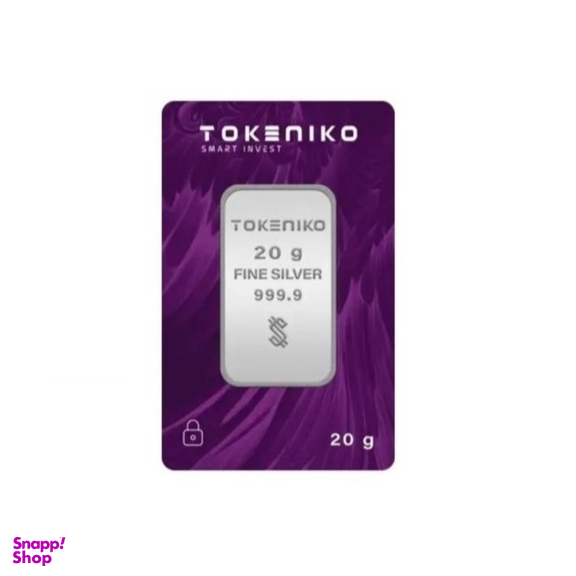 شمش نقره 999.9 عیار توکنیکو کد 01