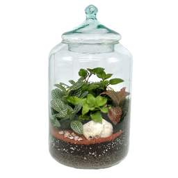 تراریوم مدل کپسولی سایز بزرگ