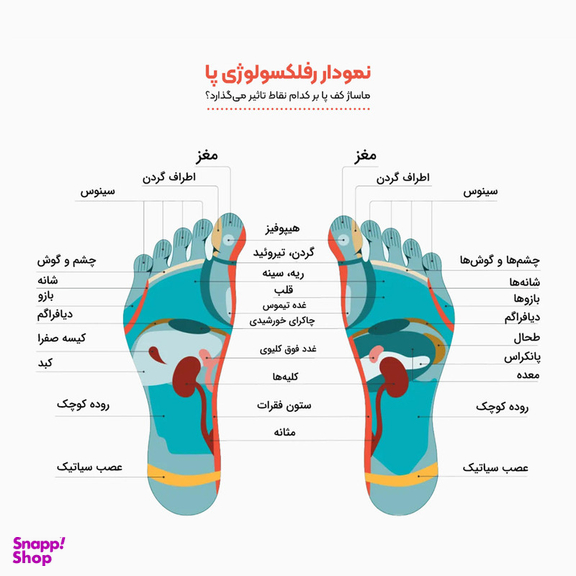 ماساژور کف پا تن زیب مدل مهره ای