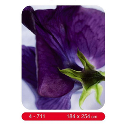 پوستر دیواری کومار مدل 711-4