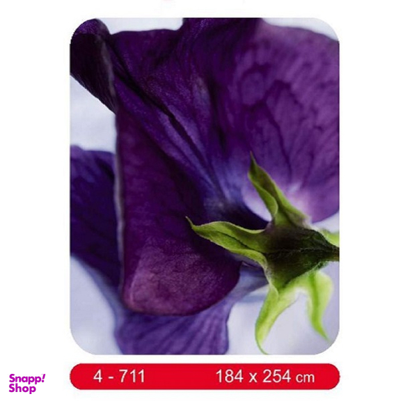 پوستر دیواری کومار مدل 711-4