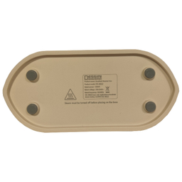 اتو بخار مسافرتی دسینی کد RAGA-DS8022