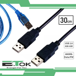 کابل لینک USB2.0 ایتوک مدل Lien طول 0.3 متر