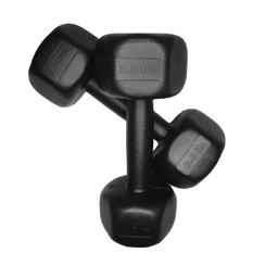 دمبل رادیس فیت مدل RPHF-1500 وزن 1.5 کیلوگرم بسته 2 عددی