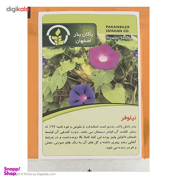 بذر گل نیلوفر پاکان بذر
