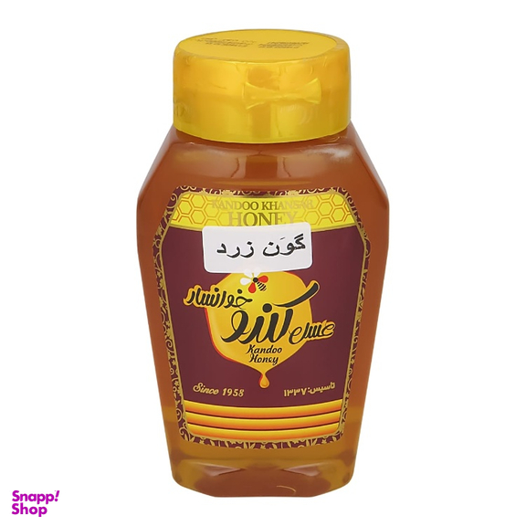 عسل گون زرد کندو خوانسار وزن 500 گرم