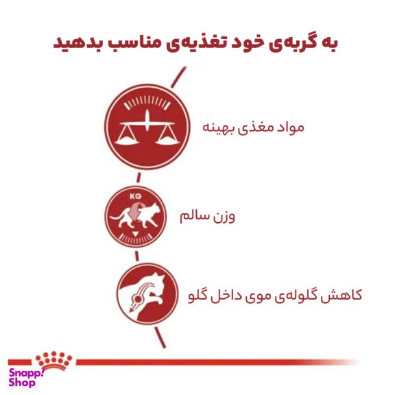غذای خشک گربه رویال کنین مدل Regular Fit 32 وزن 2 کیلوگرم