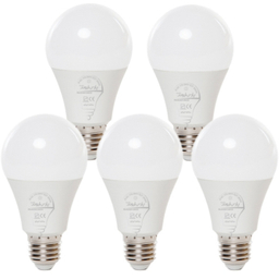 لامپ ال ای دی 25 وات پارس اروندالکتریک مدل پایهE27 بسته 5 عددی