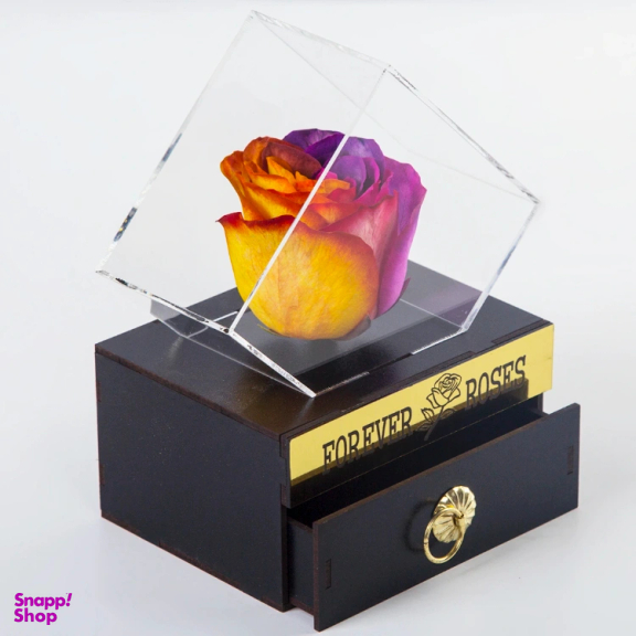 گل رز جاودان کشو دار کد 2450