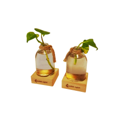گلدان شیشه ای پدیده نقش کد 01