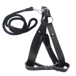 قلاده کمری سامکو مدل YP3-LIDDAR135CM به همراه لید