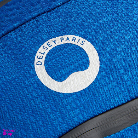 کوله پشتی ورزشی دلسی مدل NOMADE کد 3335611