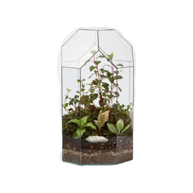 تراریوم آرمیس کد g-tr-sol-133-22