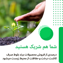 فیلتر تصفیه آب یخچال و فریزر بلوط مدل گیاهی BL 301 مجموعه 3 عددی