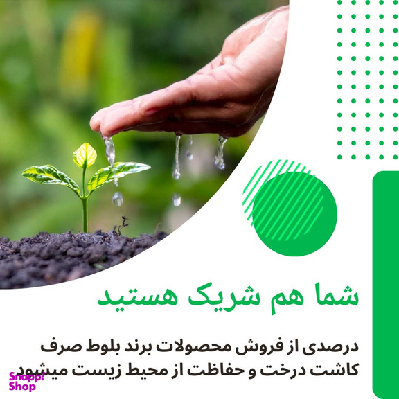 فیلتر تصفیه آب یخچال و فریزر بلوط مدل گیاهی BL 301 مجموعه 3 عددی