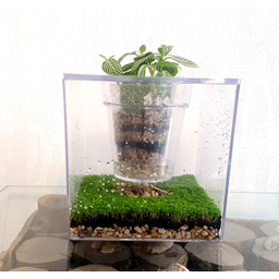 آکواریوم مدل گلدان شفاف