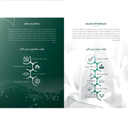 دهان شویه دنتیلایت مدل پست بیوتیک حجم 500 میلی لیتر