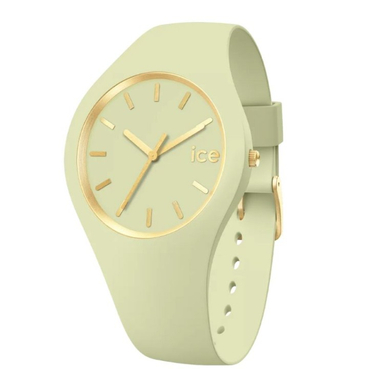ساعت عقربه ای زنانه آیس واچ مدل 020542 رنگ سبز