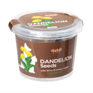 بذر علف گربه دودوتی مدل Dandelion وزن 80 گرم