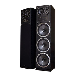 پخش کننده خانگی دنای مدل DE-3010NW3