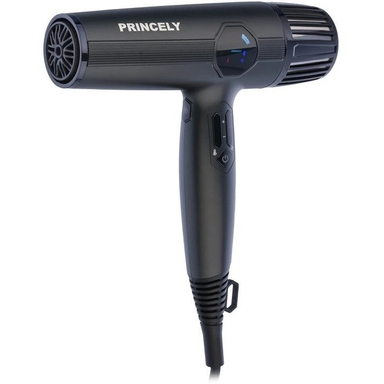 سشوار حرفه ای پرینسلی مدل PR-280AT