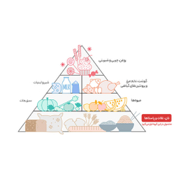 ماکارونی پروانه ای سبزیجات زر ماکارون مقدار 500 گرم