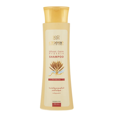 شامپو مو روزانه پروتئینه سینره مدل Wheat Germ حجم 250 میلی لیتر