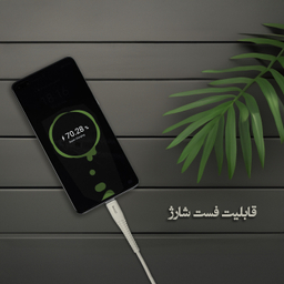 کابل دیتا USB به Type-C بیاند مدل BUC-302 LT طول 2 متر