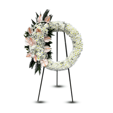 تاج گل طبیعی شاهدخت