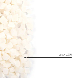 نارگیل خشک حبه ای بارجیل