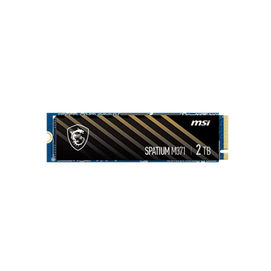 حافظه SSD اینترنال ام اس آی مدل Spatium M371 NVME M.2