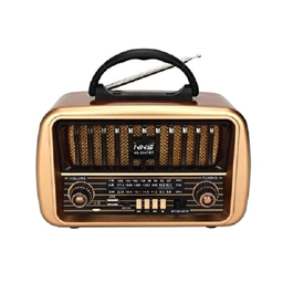 اسپیکر رادیویی ان ان اس مدل NS-8067BT