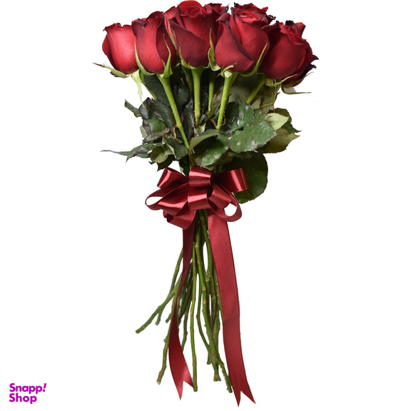 شاخه گل رز هلندی قرمز دسته 20 عددی
